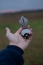 Man holds a compass in his hand. man wathing compass holding in his hands Royalty Free Stock Photo