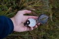 Man holds a compass in his hand. man wathing compass holding in his hands Royalty Free Stock Photo