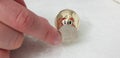 A man holds five shekels coin near the nose of golden small piggy bank