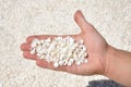 A man holds handful of sea shells, Shell Beach, Western Australia