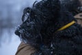 A man holds his dog on hands on the street in the snow