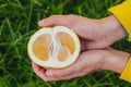 Man holds in his hand half of the cuted yellow orange on the background of trees in the park and green grass. sunny day, summer.