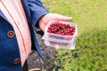 A man holds in his hand a plastic box with dried maroon berries. Businessman shows the harvest from the farm. Berry production on