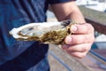 A man holds in his hands a large fresh oyster. Seafood. Tasty lunch while traveling, Ostend, Belgium. Close-up