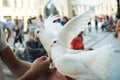 A man holds in his hands two white pedigreed pigeons