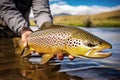 A man holds a large brown fish with both hands while standing knee-deep in a flowing river