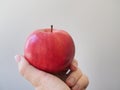 A man holds a large ripe red Apple in his hand Royalty Free Stock Photo