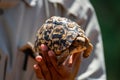 Man holds leopard tortoise up in sun Royalty Free Stock Photo
