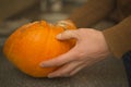 A man holds a mouldy pumpkin. Royalty Free Stock Photo