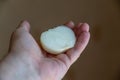 A man holds a peeled onion in his hand. Half of a white raw onion in the hand of a mature man. Selective Focus Royalty Free Stock Photo