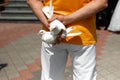 Man holds pigeons in hands, the concept of family relationships, wedding paraphernalia Royalty Free Stock Photo