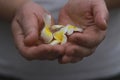 A man holds plumer flowers in his hands Royalty Free Stock Photo