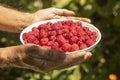Man holds rasberries in his hands