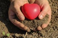 Man holds red heart in palms Royalty Free Stock Photo