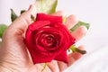 A man holds a red rose in his hand. Admiring the beauty of flowers_ Royalty Free Stock Photo