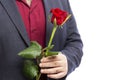 A man holds a red rose in his hand. Isolated over white background. Close-up Royalty Free Stock Photo