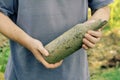 A man holds on to an old wine bottle. Hands holding a dirty glas Royalty Free Stock Photo