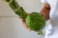 man holds Traditional symbols The four species: Etrog, lulav, hadas, arava. On the Jewish holiday of Sukkot Royalty Free Stock Photo