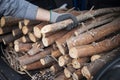 A man holds a trunk from a pile of pine branches and pine nuts for fuel Royalty Free Stock Photo