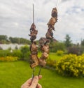 a man holds two skewers with ready-made freshly cooked toasted meat