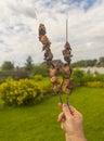 a man holds two skewers with ready-made freshly cooked toasted meat