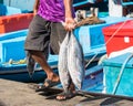 A man holds two tuna in his hands, Male, Maldives. Close-up. Royalty Free Stock Photo