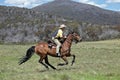 Man and horse Royalty Free Stock Photo