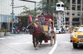 Man on horse carriage in Manhattan