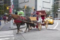 Man on horse carriage in Manhattan