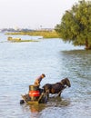 Man on a horse cart with a big container on Danube river Royalty Free Stock Photo