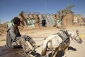 Man with a horse and cart, Ethiopia Royalty Free Stock Photo