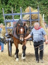 Man with a horse and cart at the Fete de la Moisson at Saint Denis de Gastines 2018