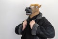 man in a horse mask. selective focus. horse is wearing a coat. male stud Royalty Free Stock Photo