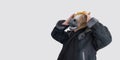 man in a horse mask. selective focus. horse is wearing a coat. male stud. banner, copy space. Royalty Free Stock Photo