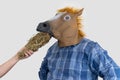 man in horse mask. woman feeds hay to a horse. Royalty Free Stock Photo