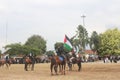 Man, horse, palestine, flag, land, yard, person, indonesian muslim guy ride horse with taking palestine flag.