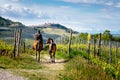 Man on a horse rides among beatiful Barolo vineyards with La Morra village on the top of the hill. Trekking pathway. Viticulture,