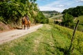 Man on a horse rides among Vineyard with Monforte dÃ¢â¬â¢Alba village. Pathway from Barolo