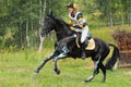 Man horsebak on galloping black chestnut horse