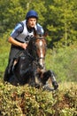 Man horsebak on jumping brown chestnut horse