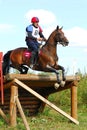 Man horsebak on jumping obstacle chestnut horse