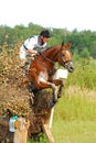 Man horsebak on jumping red horse Cross-Country