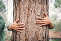 Man hug big tree color of hipster tone selective soft focus Royalty Free Stock Photo