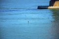 Man on hydrofoil on waterfront underneath the golden gate brich island platform with cement on waves in late afternoon sun