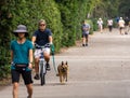 Man, Ignoring Face Mask Mandate, Exercises Dog in Park, While Walkers Behind Him Wear Face Masks