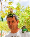 Man with iguana on his shoulder and head Royalty Free Stock Photo