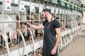Man operating milking machine at the goat farm Royalty Free Stock Photo