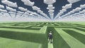 Man inside of green maze Royalty Free Stock Photo