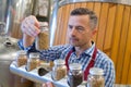 man inspecting jars ingredients in brewery Royalty Free Stock Photo