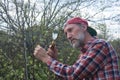 A man inspects apple tree branch